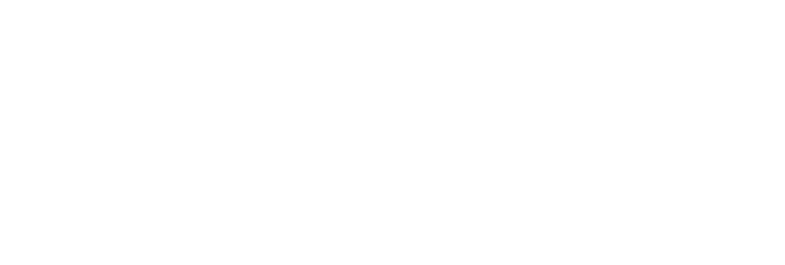 MENSINK Magnetics wit logo